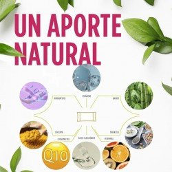 Eladiet Regendol Flexi 14 Sticks