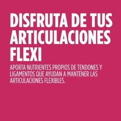 Eladiet Regendol Flexi 14 Sticks