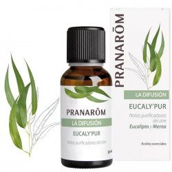 Comprar Pranarom Aceite Eucaly'pur Eucalipto y Menta BIO Eco 30 ml