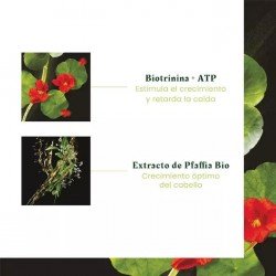 René Furterer Triphasic Progressive Tratamiento Anticaída 8 uds