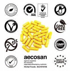 Hivital Cúrcuma 6000mg con Pimienta Negra 120 Cápsulas