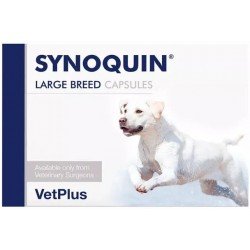 Comprar Synoquin Razas Grandes 120 Cápsulas