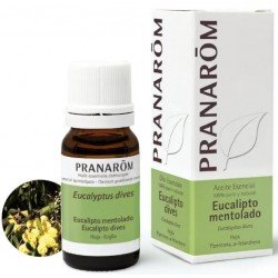 Comprar Pranarom Aceite Esencial de Eucalipto Mentolado 10 ml