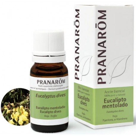 Pranarom Aceite Esencial de Eucalipto Mentolado 10 ml