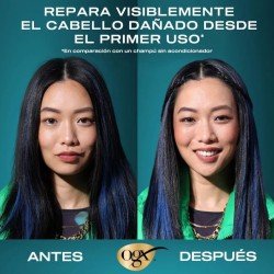 OGX Acondicionador Reparador Aceite de Argán Cabello Seco 385 ml