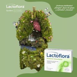 Lactoflora Probiótico Inmunitario Vitaminas y Minerales 30 Cápsulas