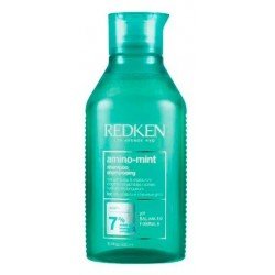 Comprar Redken Amino Mint Champú 300 ml