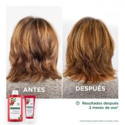 Klorane Champú Granada Cabello Teñido 400 ml
