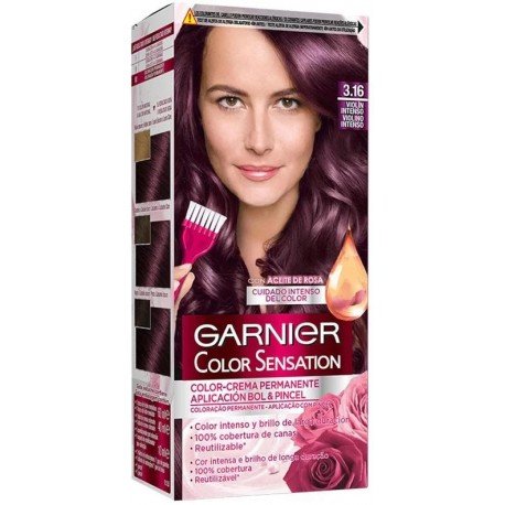 Garnier Color Sensation Tinte 3.16 - Violín