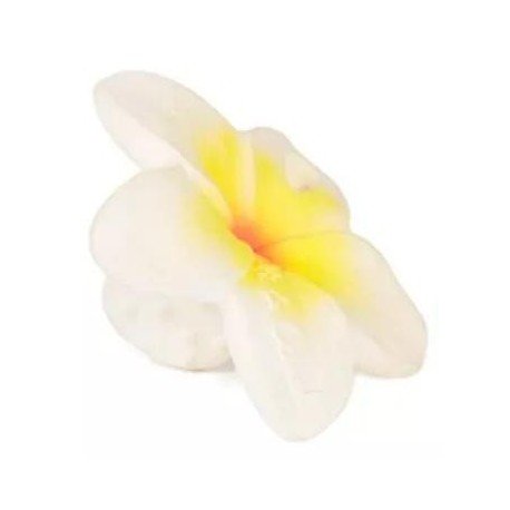 Oli&Carol Mordedor Hawaii The Flower