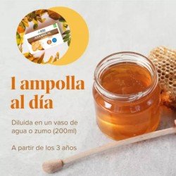 Arkopharma Arkoreal Jalea Real Forte Sin Azúcar 20 Ampollas 1500 mg