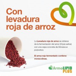 Armolipid Plus 2x60 Comprimidos