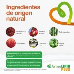 Armolipid Plus 2x60 Comprimidos