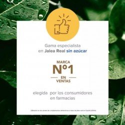 Arkopharma ArkoReal Jalea Real Inmunidad Sin Azúcar 20 Ampollas