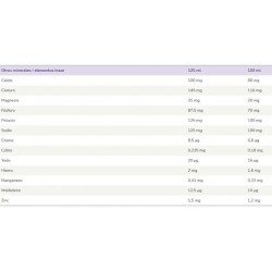 Souvenaid Sabor Vainilla 32x125 ml