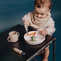 Suavinex Colour Essence Plato de Silicona con Divisiones y Ventosa Verde +6m