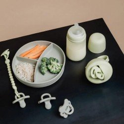 Suavinex Colour Essence Plato de Silicona con Divisiones y Ventosa Verde +6m