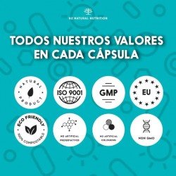 N2 Natural Nutrition Probióticos y Prebióticos 60 Cápsulas