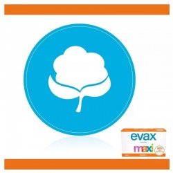 Evax Salvaslip Maxi 40 uds