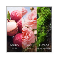 Perfumes (1446894)