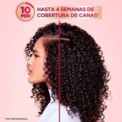 Color Shampoo Retouch