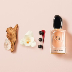 Perfumes (582)