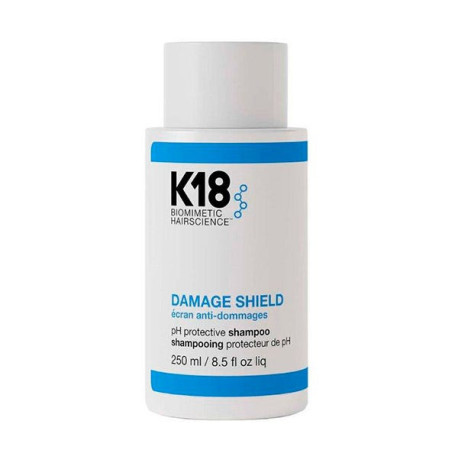 Damage Shield