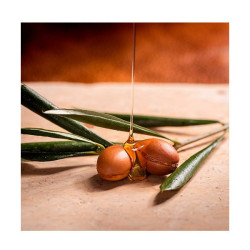 Argan Oil Of Morocco Shampoo