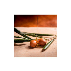 Argan Oil Of Morocco Conditioner