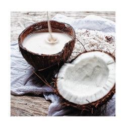 Coconut Milk Conditioner