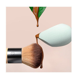 Blurring Blender & Full Complexion Brush