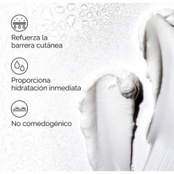 Natural Moisturizing Factors + Ha