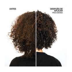 Frizz Dismiss