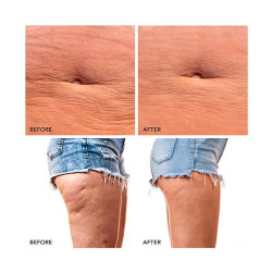 Bear 2 Body Evergreen