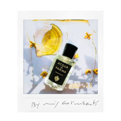 Osmanthus