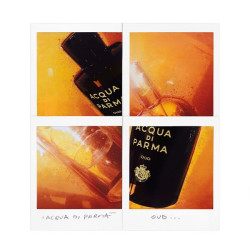 Perfumes (4611)