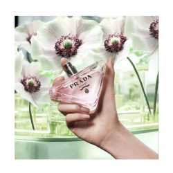 Paradoxe Virtual Flower
