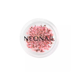 Comprar Flores Secas Uñas