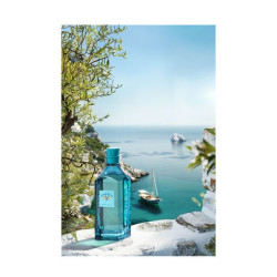 Mediterraneo