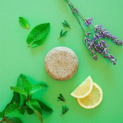 Shikakai Solid Shampoo
