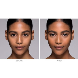 Light Reflecting Setting Powder Pressed