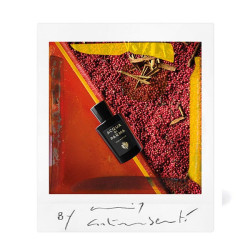 Oud & Spice