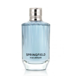 Comprar Sprinfield True Attitude