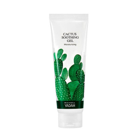 Gel Calmante Cactus