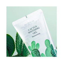Gel Calmante Cactus