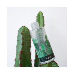 Tónico Cactus