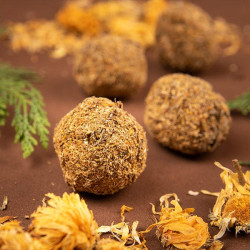 Bombita Herbal