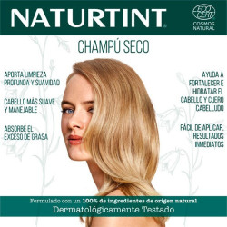 Champú Seco