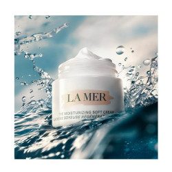 The Moisturizing Soft Cream