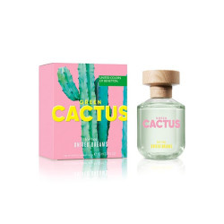 Comprar Dreams Green Cactus